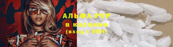 прущие крисы Верея