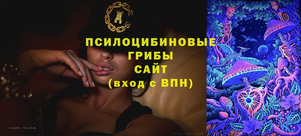 прущие крисы Верея