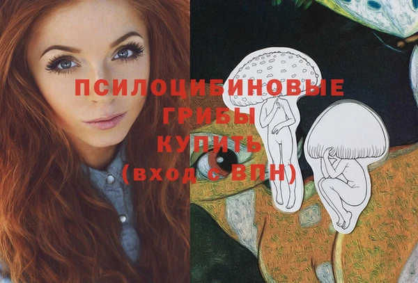 прущие крисы Верея
