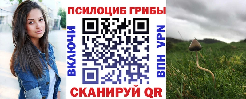 Галлюциногенные грибы Psilocybine cubensis  kraken ONION  Улан-Удэ 